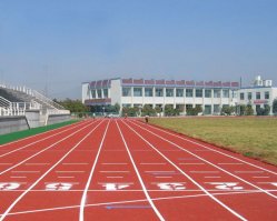 塑胶跑道维护保养关键技巧延长寿命