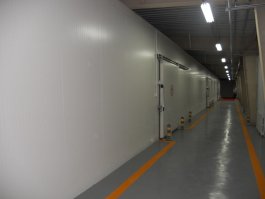 冷库地坪冻鼓问题解决方案与施工工艺指南