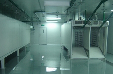 工业厂房地坪选择指南：环保节能地面材料应用方案(图1)