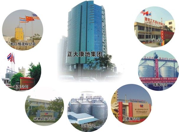 正大康地集团发展历程与企业成就展示(图1)