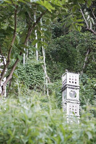 中国新锐建筑事务所年度作品观察(图24)