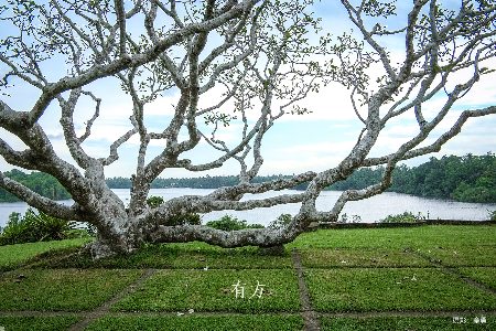 最高：交800抵2000｜有方2026旅行预订优惠开放(图15)