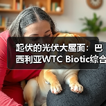 起伏的光伏大屋面：巴西利亚WTC Biotic综合体在建方案（图3）