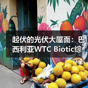 起伏的光伏大屋面：巴西利亚WTC Biotic综合体在建方案（图4）