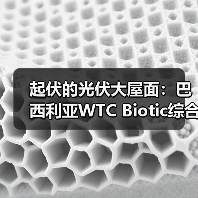 起伏的光伏大屋面：巴西利亚WTC Biotic综合体在建方案（图4）