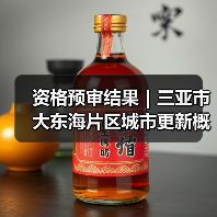 资格预审结果｜三亚市大东海片区城市更新概念规划设计国际竞赛（图3）