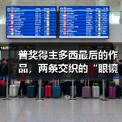 普奖得主多西最后的作品，两条交织的“眼镜蛇”（图1）