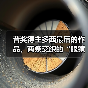 普奖得主多西最后的作品，两条交织的“眼镜蛇”（图4）