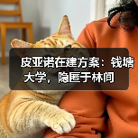 皮亚诺在建方案:钱塘大学,隐匿于林间(图1) 皮亚诺在建方案:钱塘大学,隐匿于林间(图1)