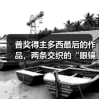 普奖得主多西最后的作品，两条交织的“眼镜蛇”（图4）