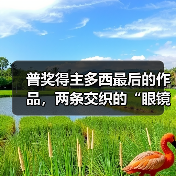 普奖得主多西最后的作品，两条交织的“眼镜蛇”（图2）
