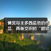普奖得主多西最后的作品，两条交织的“眼镜蛇”（图4）