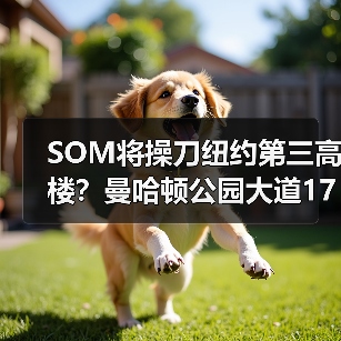 SOM将操刀纽约第三高楼?曼哈顿公园大道175号方案公布(图2) SOM将操刀纽约第三高楼?曼哈顿公园大道175号方案公布(图2)