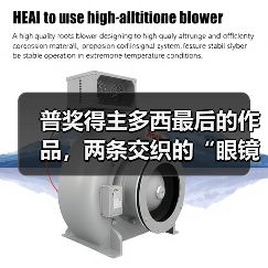 普奖得主多西最后的作品,两条交织的“眼镜蛇”(图1) 普奖得主多西最后的作品,两条交织的“眼镜蛇”(图1)