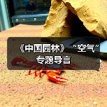 《中国园林》“空气”专题导言(图1) 《中国园林》“空气”专题导言(图1)