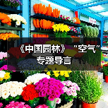 《中国园林》“空气”专题导言（图2）