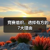 竞赛组织，选择有方的7大理由（图1）