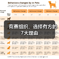 竞赛组织,选择有方的7大理由(图3) 竞赛组织,选择有方的7大理由(图3)