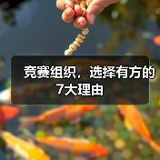 竞赛组织,选择有方的7大理由(图1) 竞赛组织,选择有方的7大理由(图1)